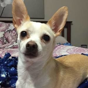 Meet your Posher, Kayleigh